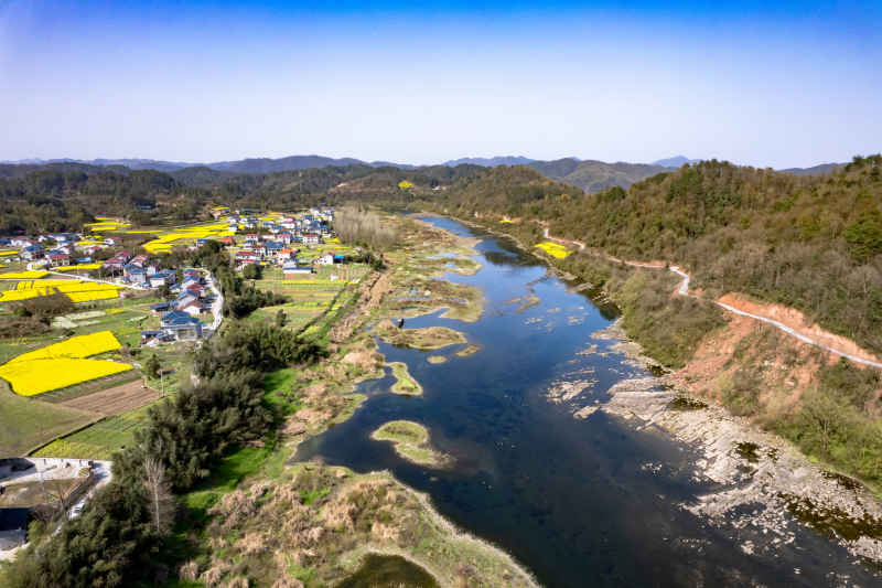 春天乡村田园油菜花航拍图  