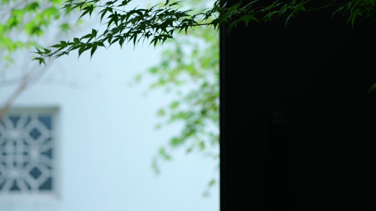 中式建筑空镜头 3