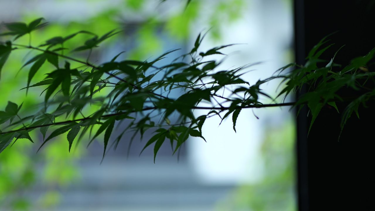 中式建筑空镜头 5
