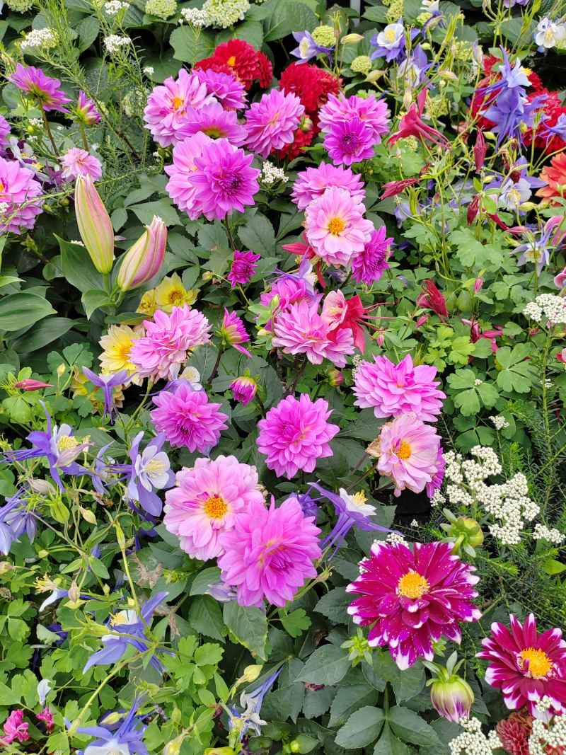花