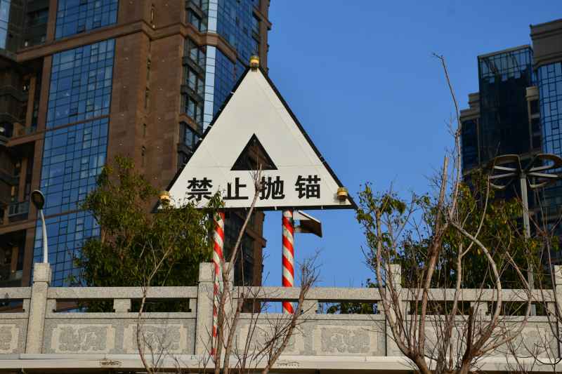 随拍 28