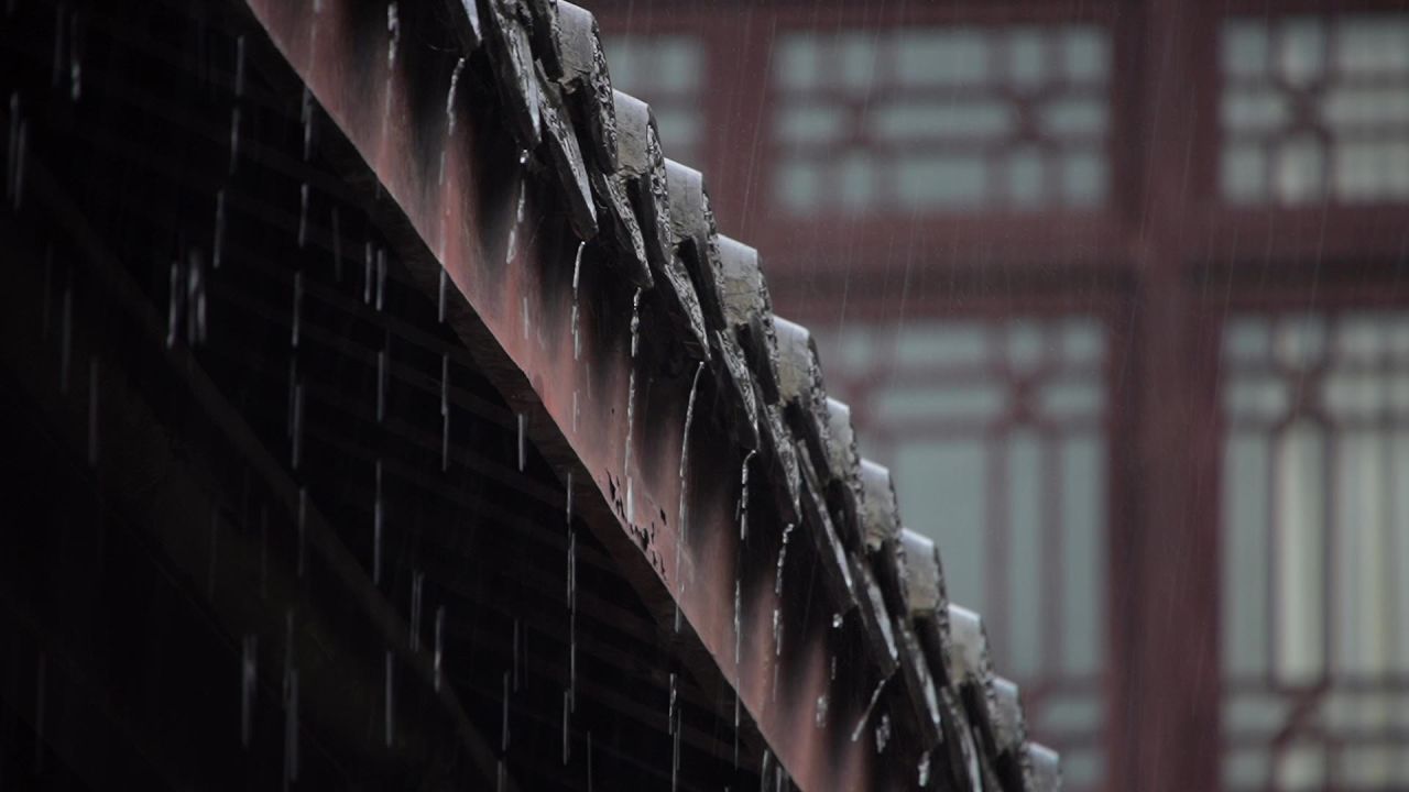 雨中屋檐滴水树叶一组 4