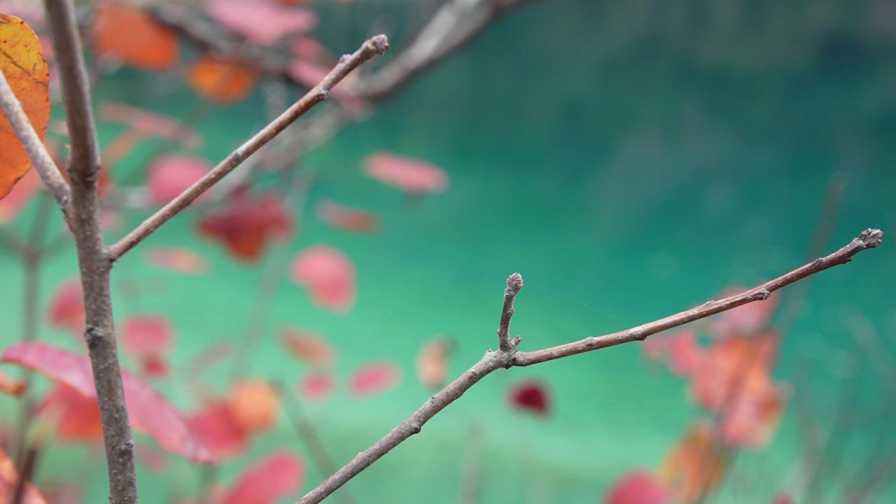 九寨沟的水瀑布以及转经筒一组 5