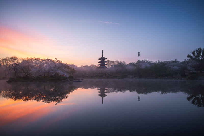 东湖樱园