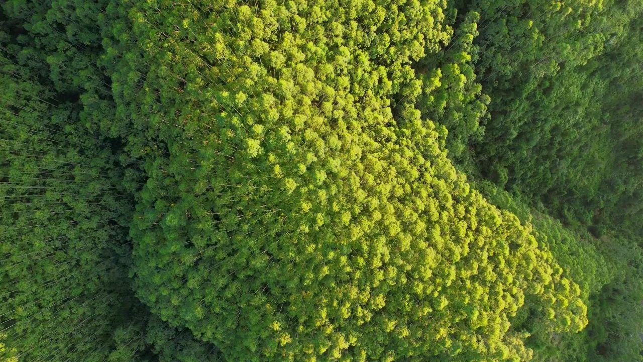 航拍山间绿色森林景观 