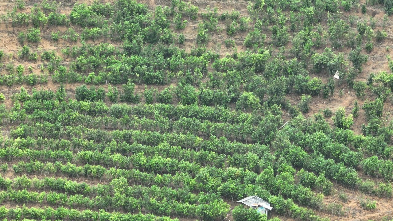 产业振兴