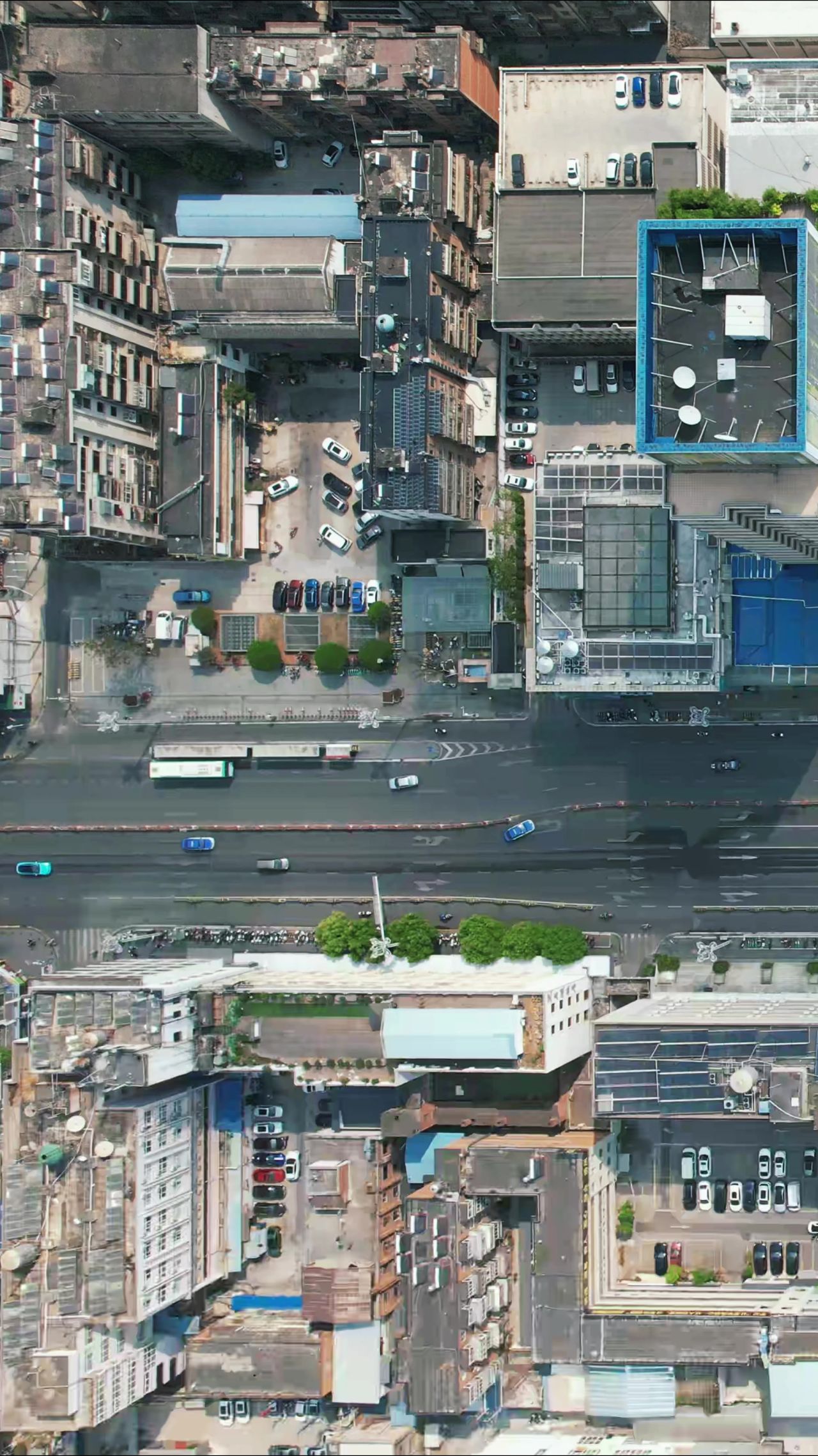 城市交通车辆行书竖屏航拍 