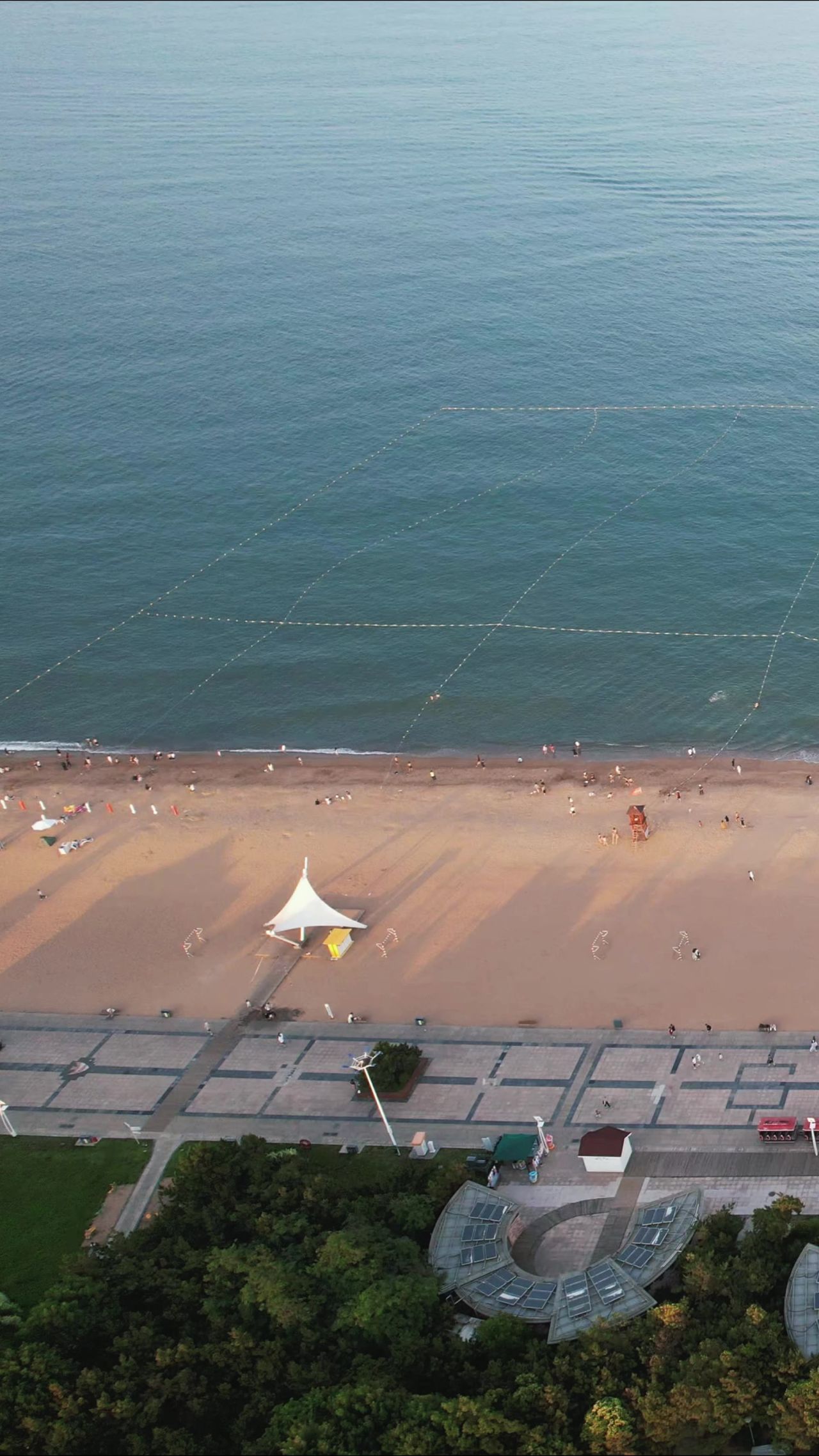 大海海浪沙滩风景浪花竖屏航拍  