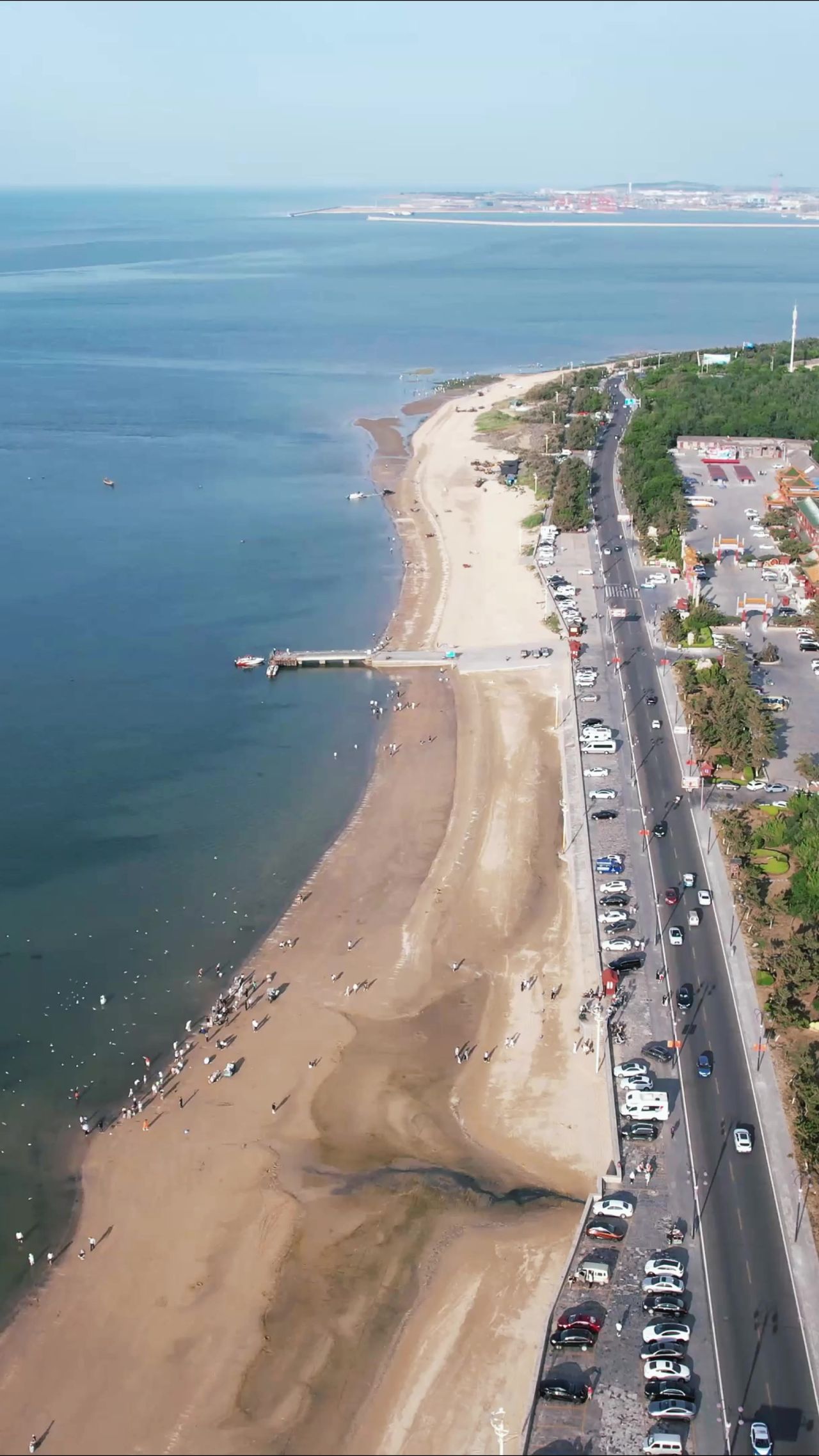 大海海浪沙滩风景浪花竖屏航拍  