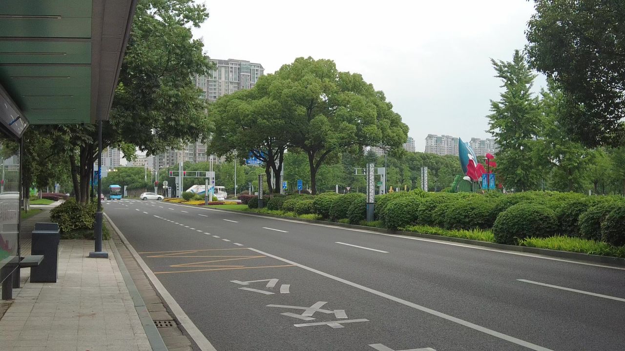 城市大道绿树成荫实拍交通