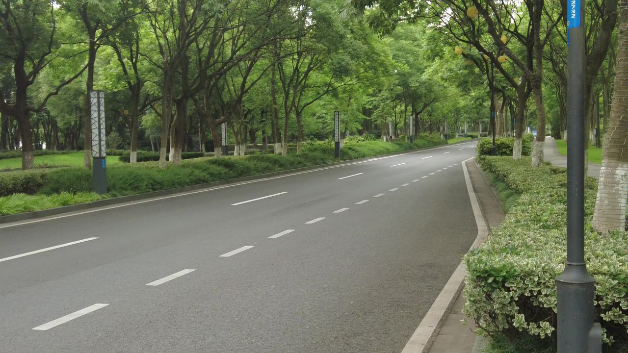 城市大道绿树成荫实拍交通
