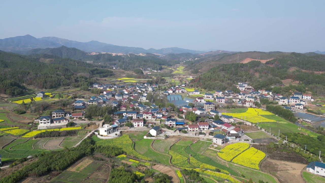 美丽乡村田园乡村振兴农业种植航拍 