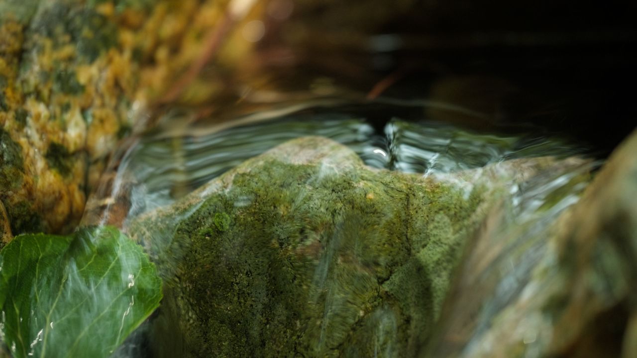 清澈山泉水温泉矿泉水小溪山涧 1