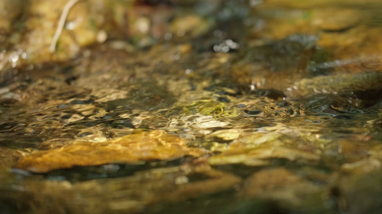 清澈山泉水温泉矿泉水小溪山涧 3