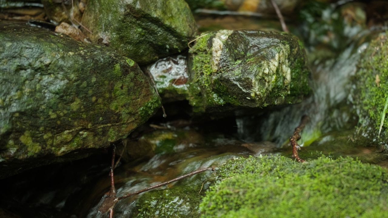 清澈山泉水温泉矿泉水小溪山涧 19