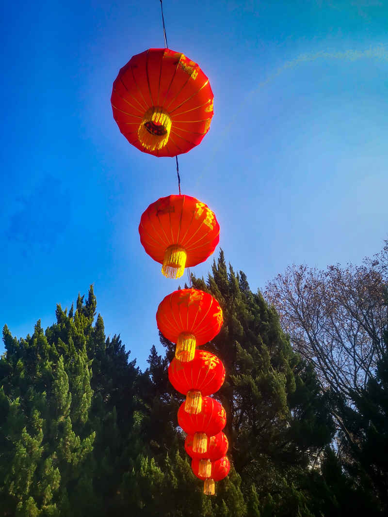 过年城市喜庆红灯笼中国年装饰摄影图 