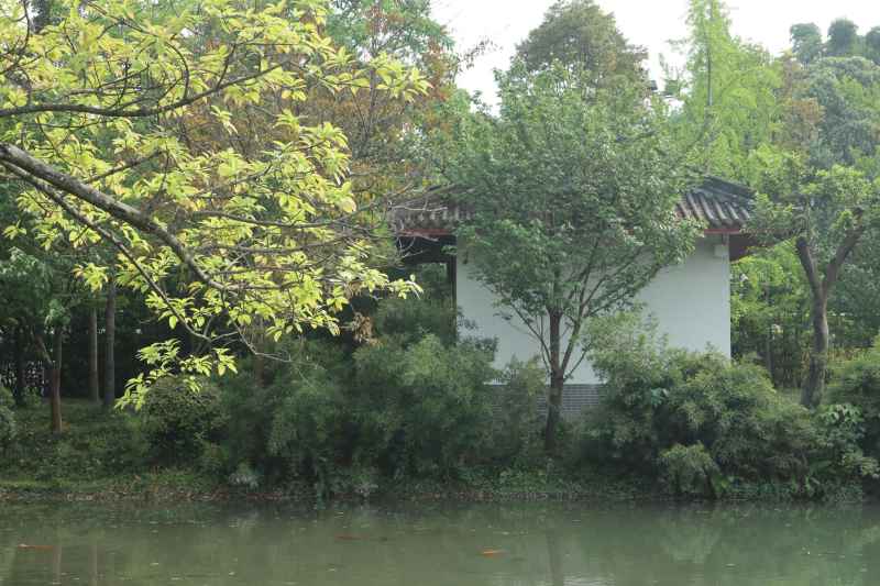 湖边