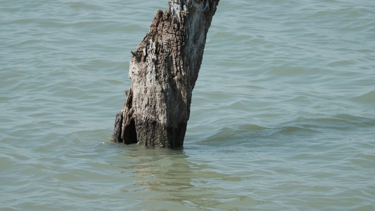 江河湖海洋水面海面波浪波纹海浪 24