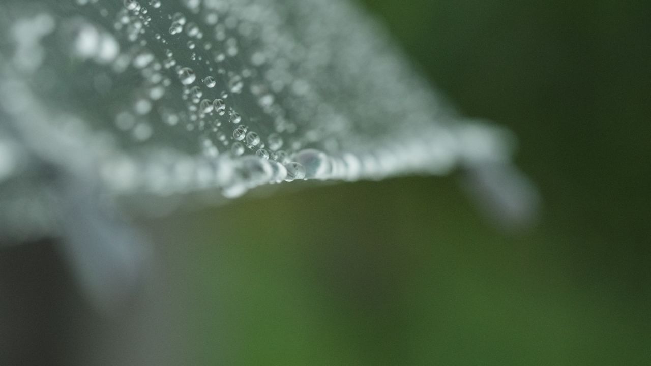 下雨清明谷雨酸雨倾盆大雨蒙蒙细雨 8