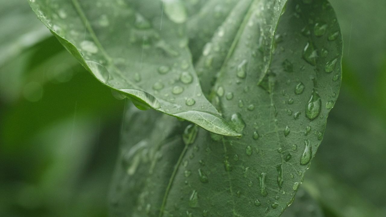 下雨清明谷雨酸雨倾盆大雨蒙蒙细雨 10