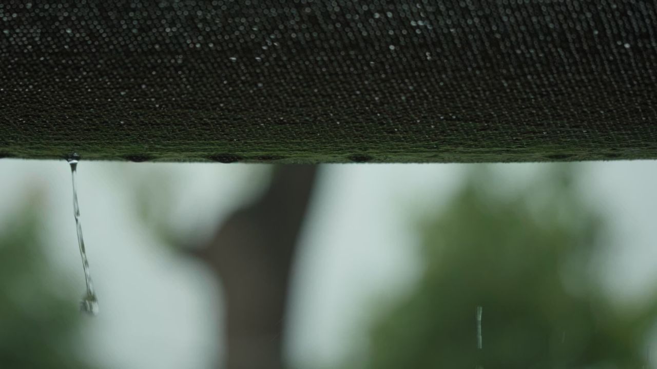 下雨清明谷雨酸雨倾盆大雨蒙蒙细雨 15