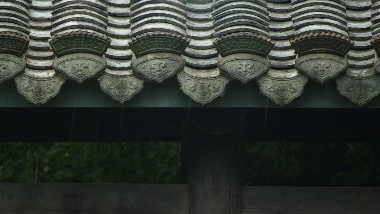 下雨清明谷雨酸雨倾盆大雨蒙蒙细雨 29