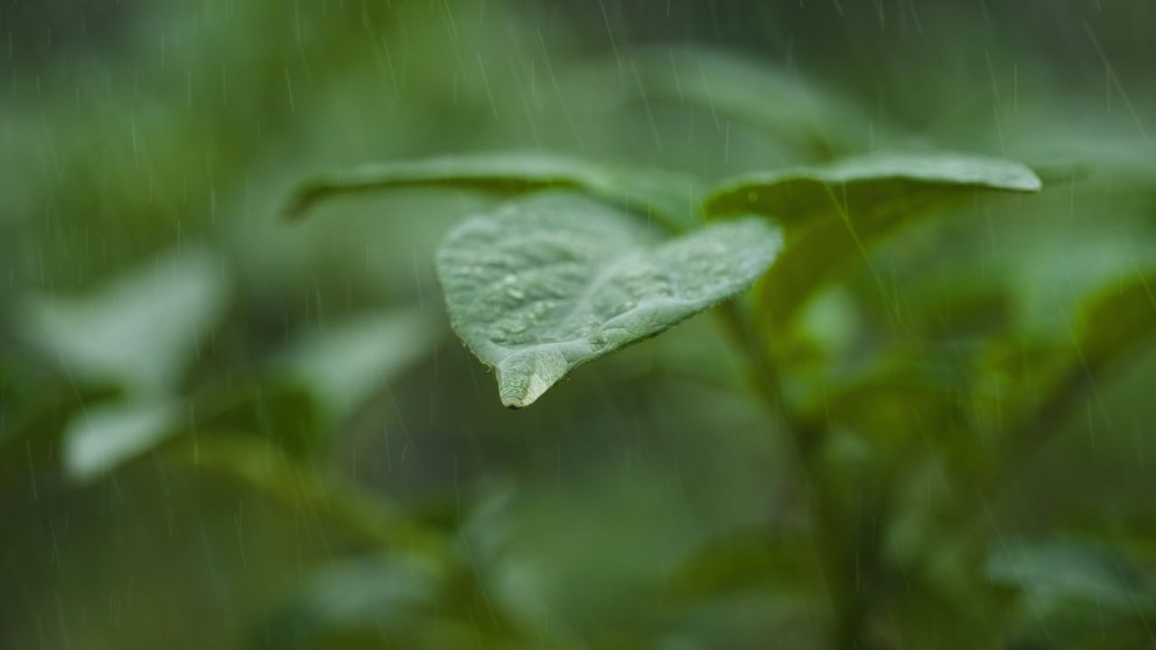 下雨清明谷雨酸雨倾盆大雨蒙蒙细雨 45