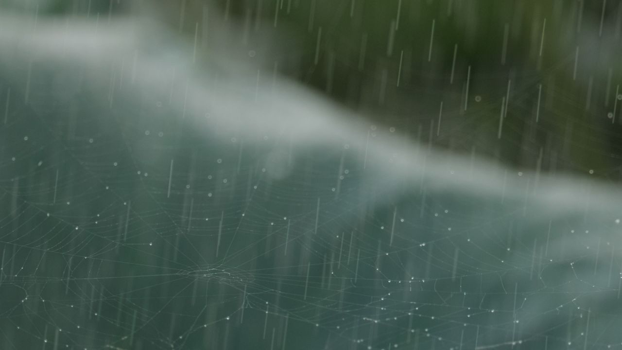 下雨清明谷雨酸雨倾盆大雨蒙蒙细雨 13