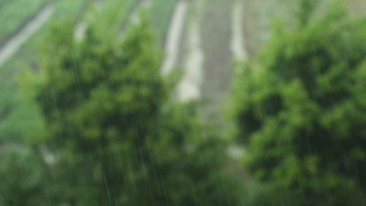 下雨清明谷雨酸雨倾盆大雨蒙蒙细雨 37