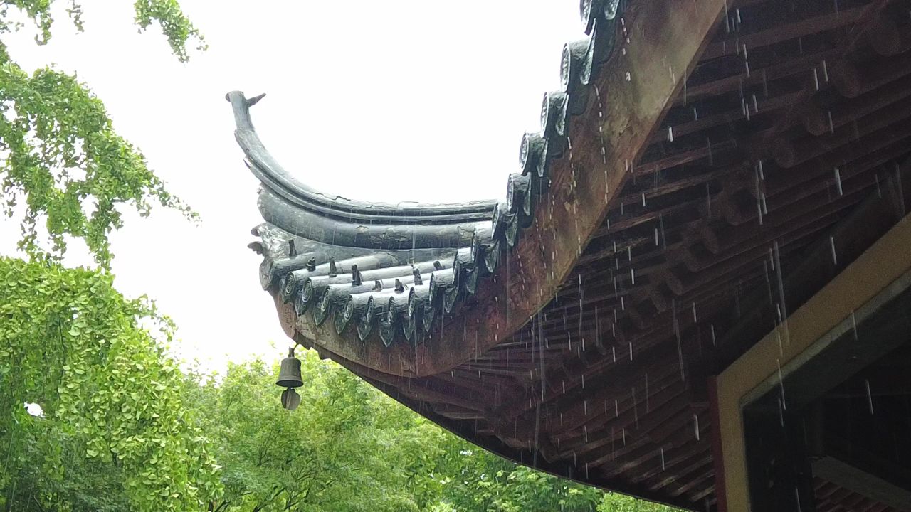 下雨素材雨水雨滴实拍 