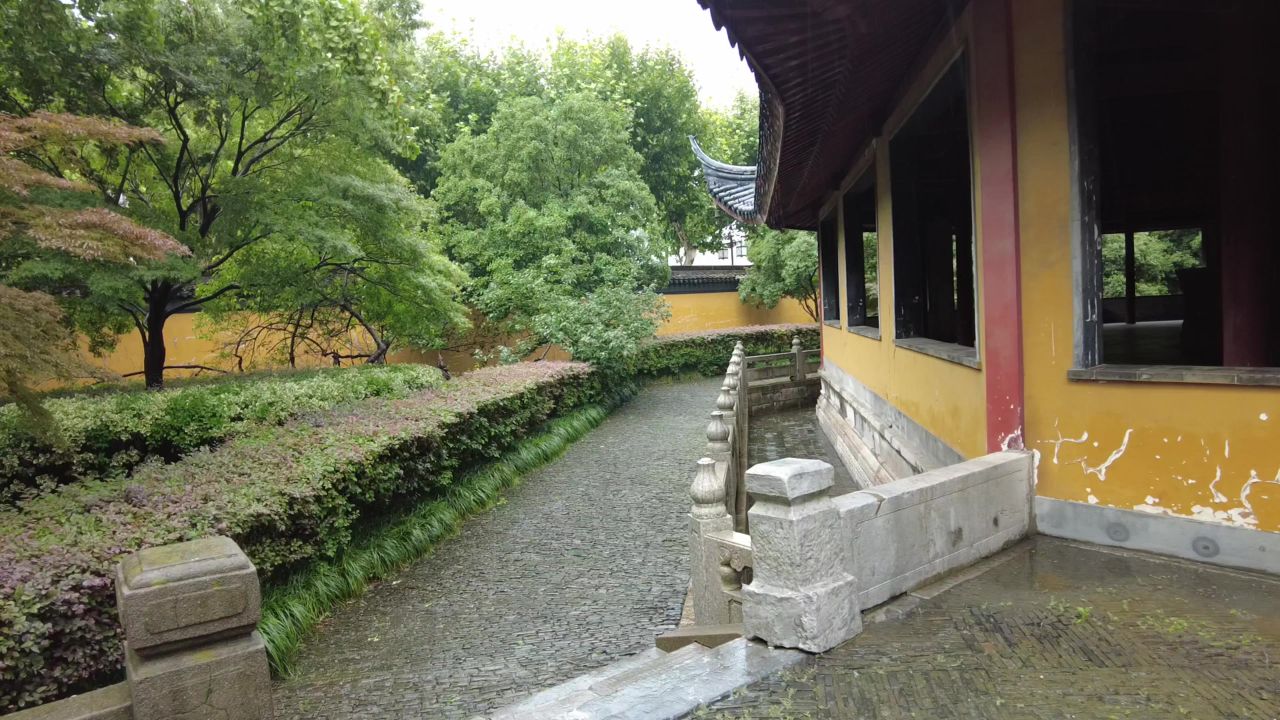 下雨素材雨水雨滴实拍 