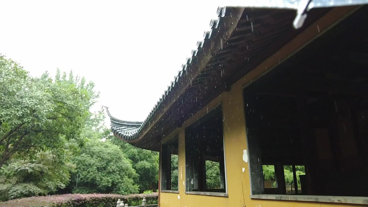 下雨素材雨水雨滴实拍 