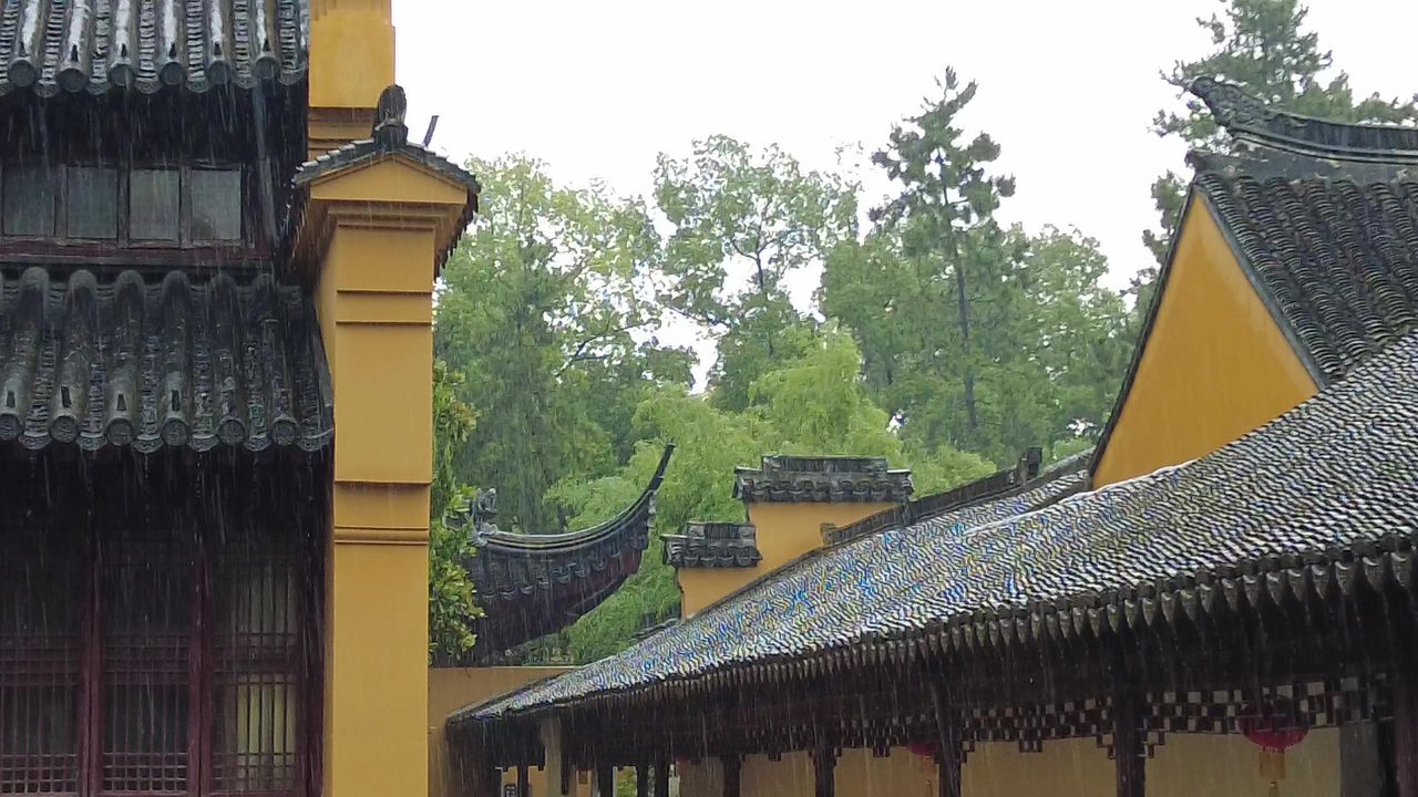 下雨素材雨水雨滴实拍 