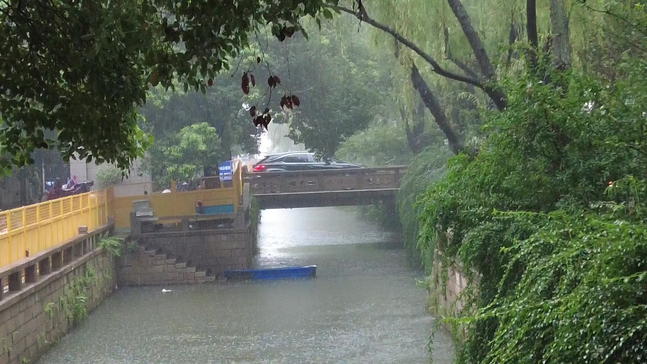 下雨素材雨水雨滴实拍 