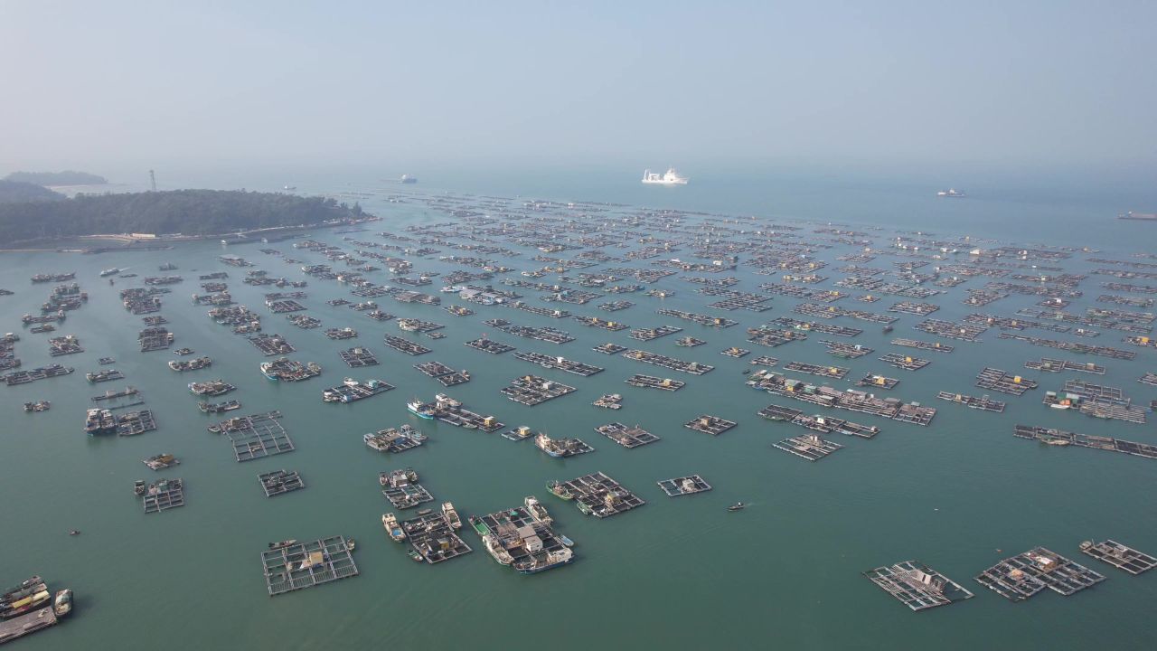 蓝色海洋大海海鲜养殖基地航拍 
