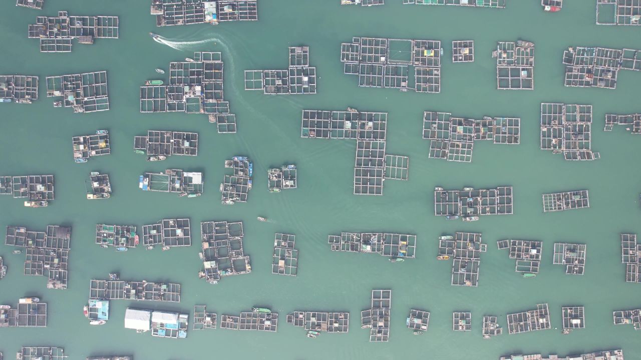 蓝色海洋大海海鲜养殖基地航拍