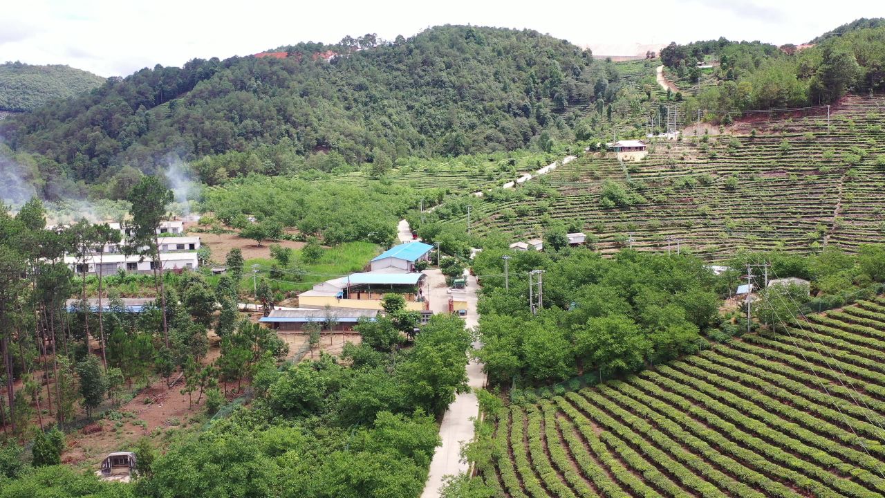 梯田