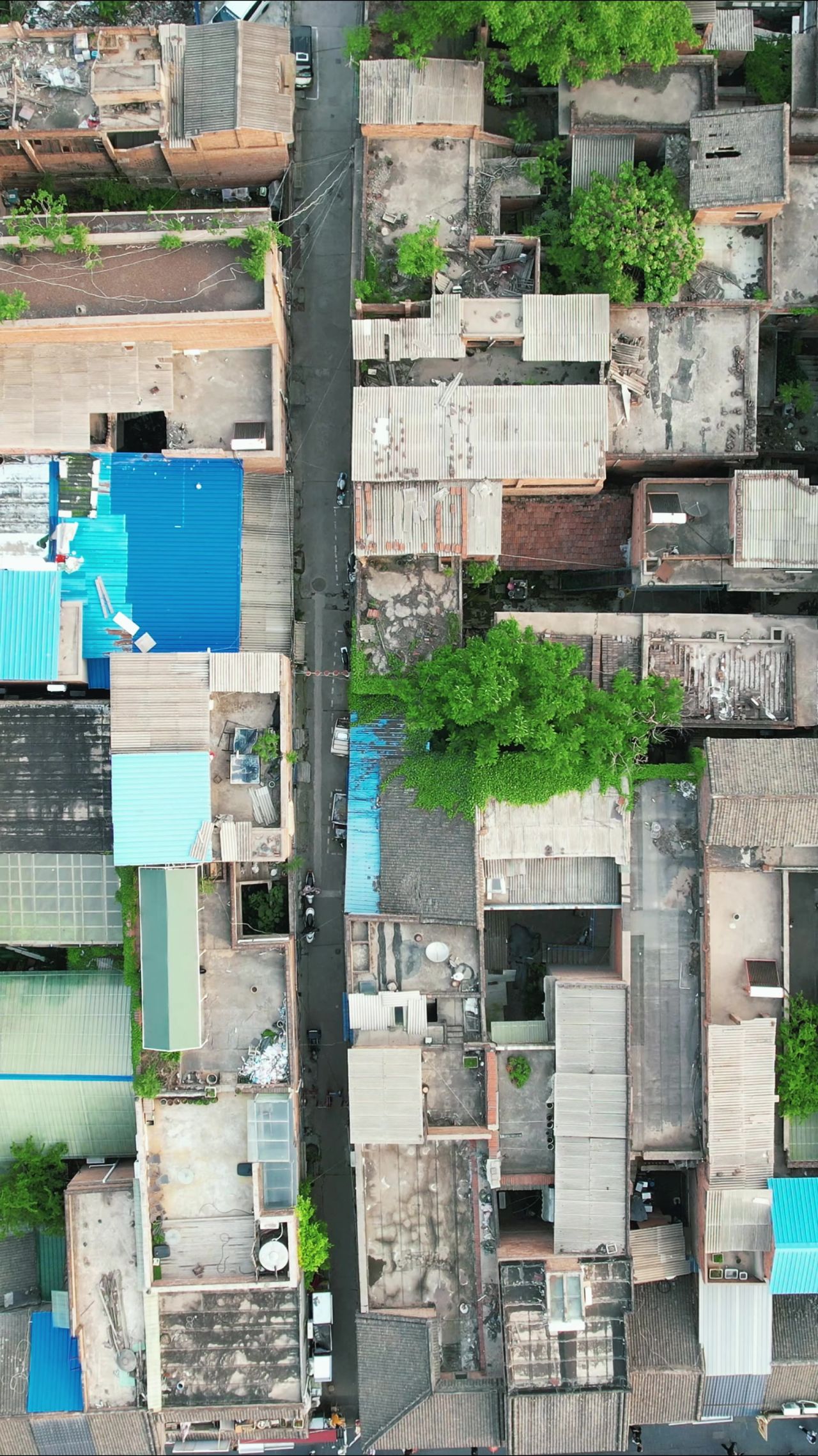 航拍河南洛阳城市风光古建筑竖屏  