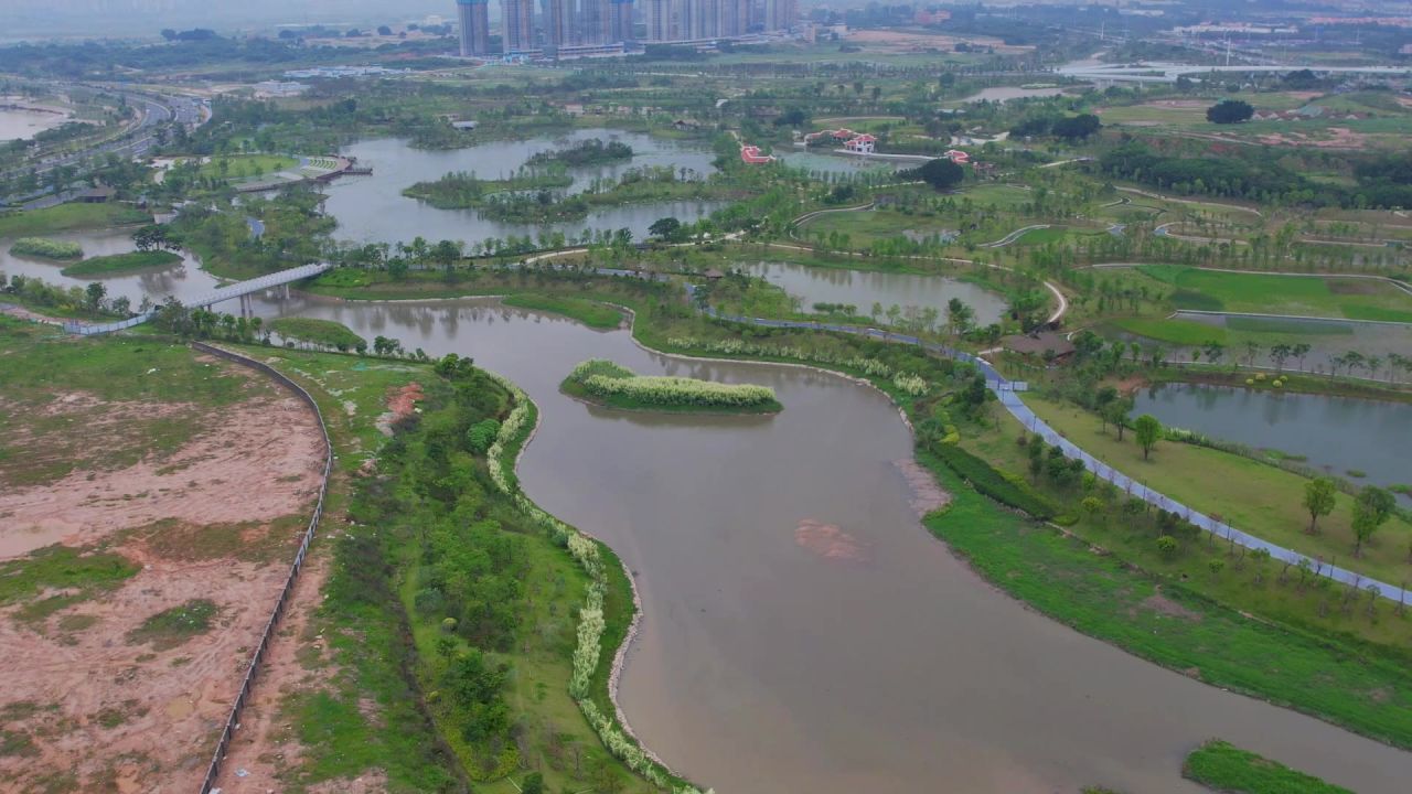 航拍厦门马銮湾双溪湿地公园 6