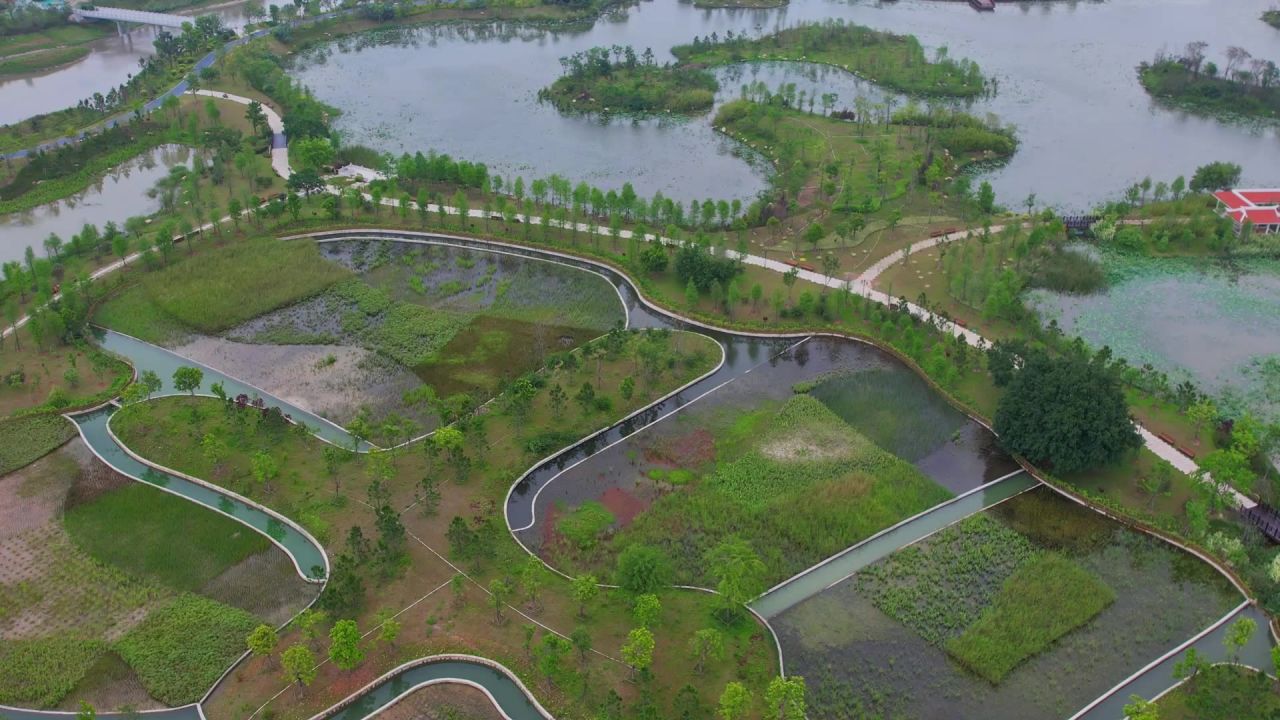 航拍厦门马銮湾双溪湿地公园 9