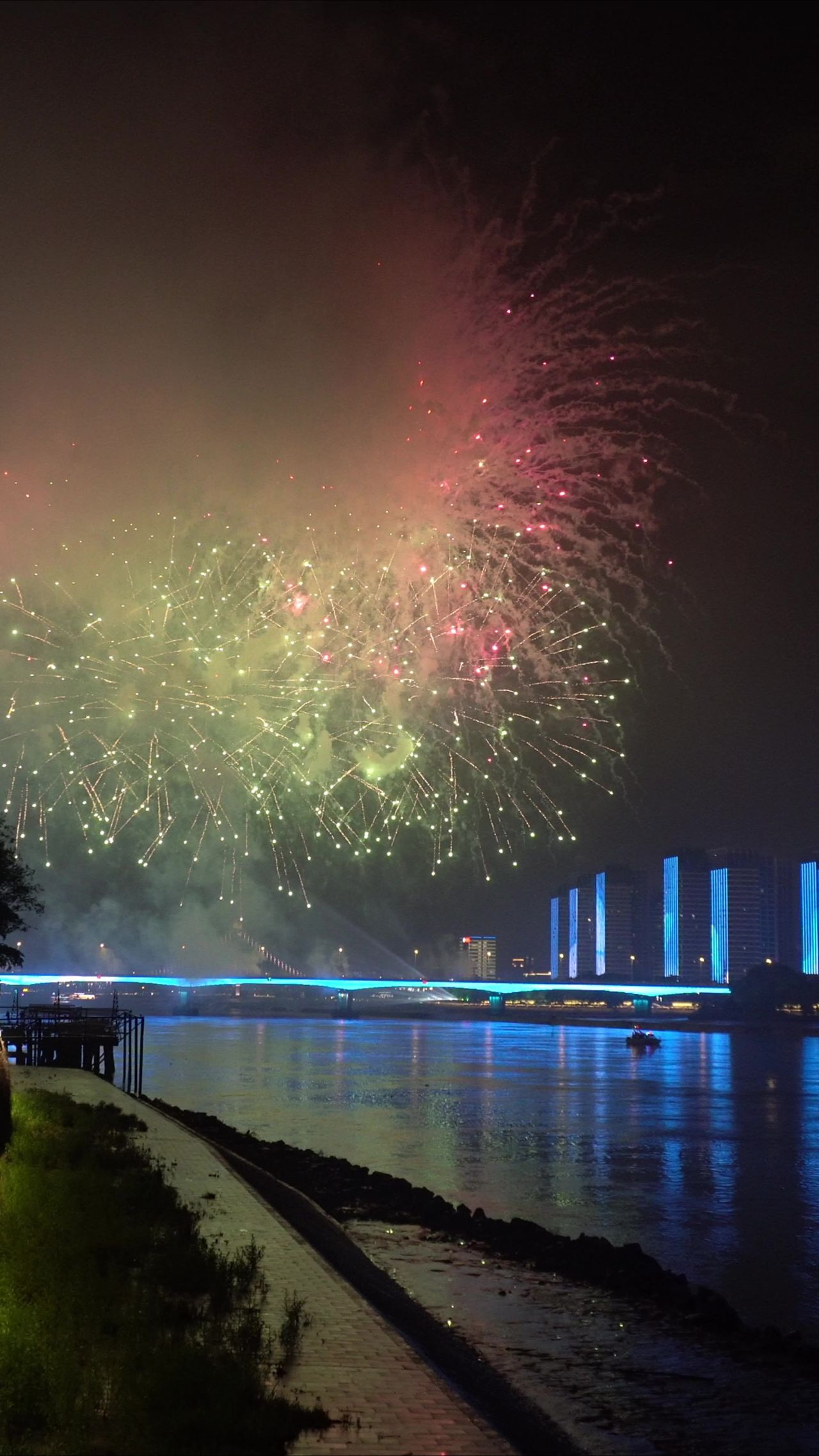 城市夜景烟花竖屏实拍