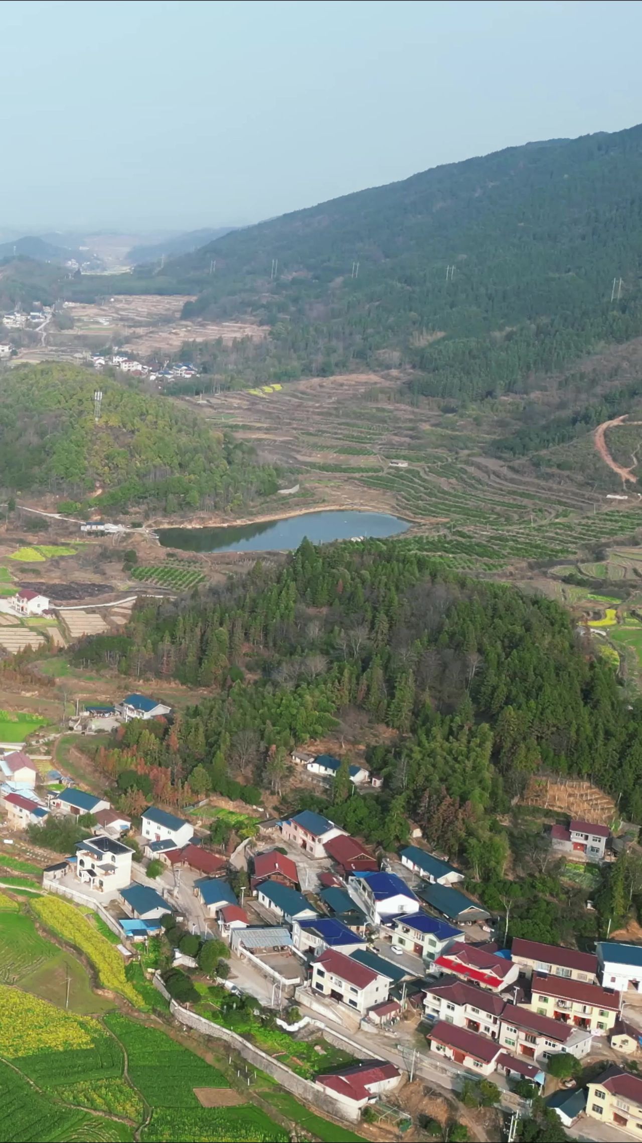 美丽乡村田园农业种植农作物竖屏航拍  