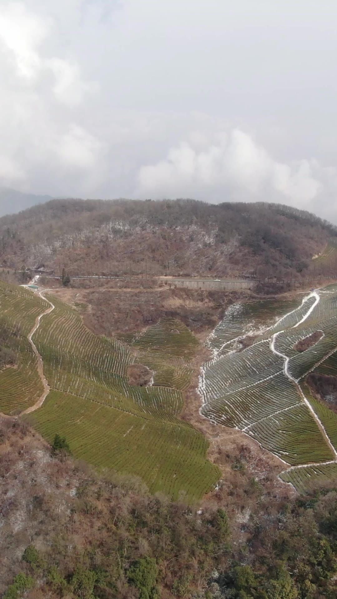 旅游景区湖南张家界武陵源天子山