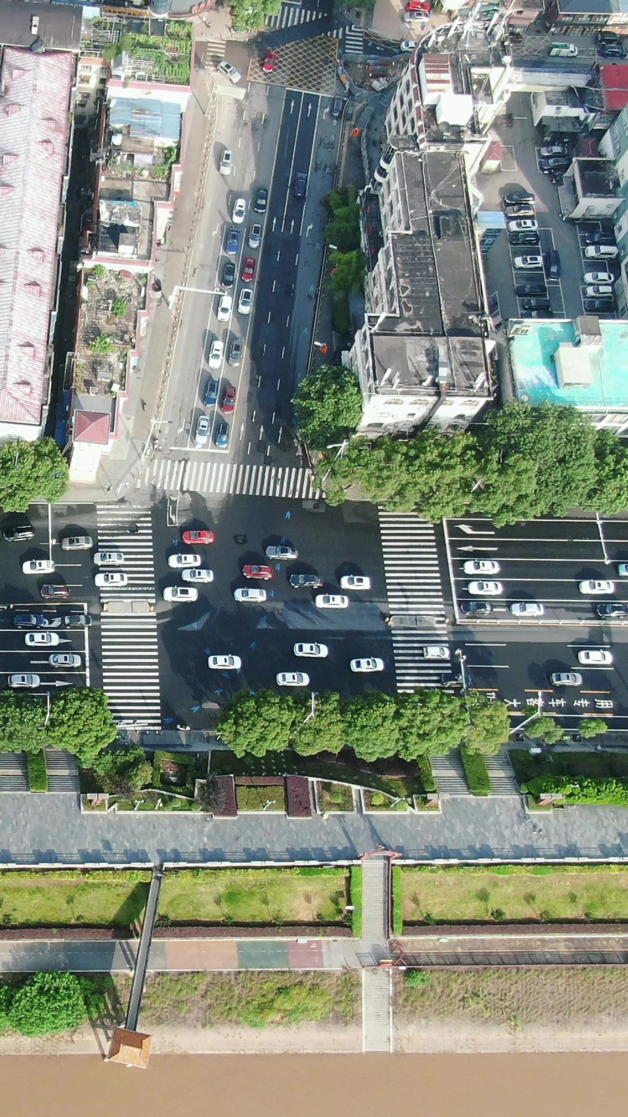 俯拍 城市 沿江大道 交通 车辆