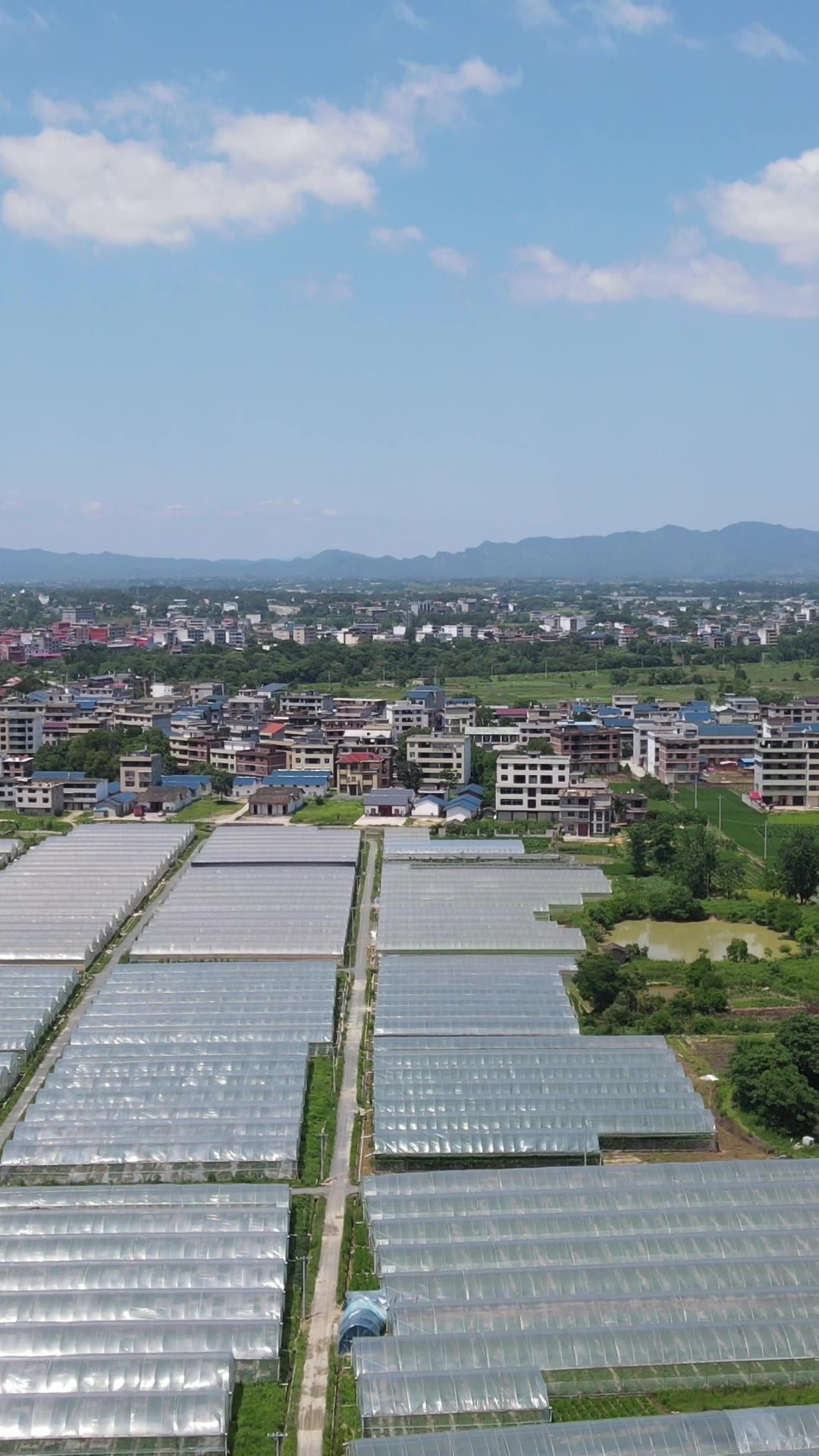 现代农业种植竖屏航拍