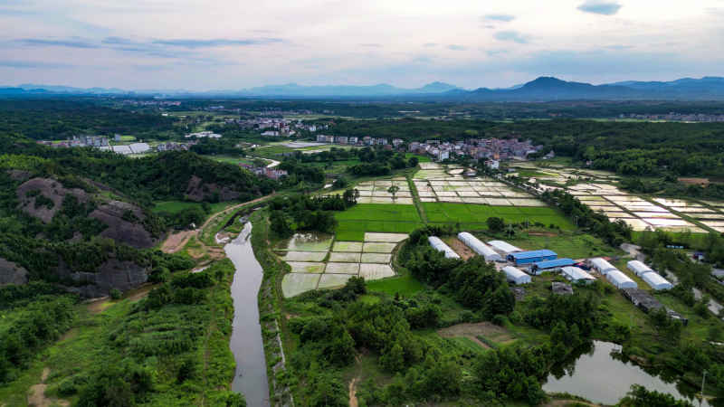 航拍乡村田园农业种植基地
