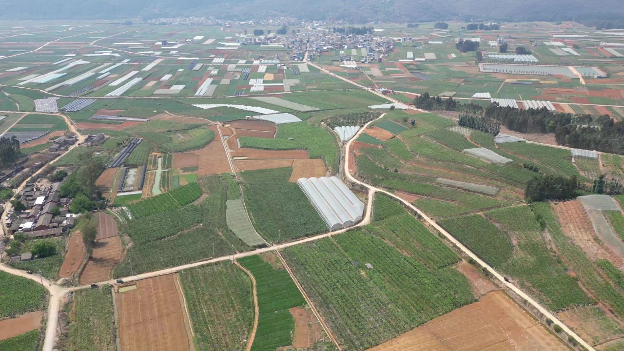 农业 种植 农田 乡村 航拍