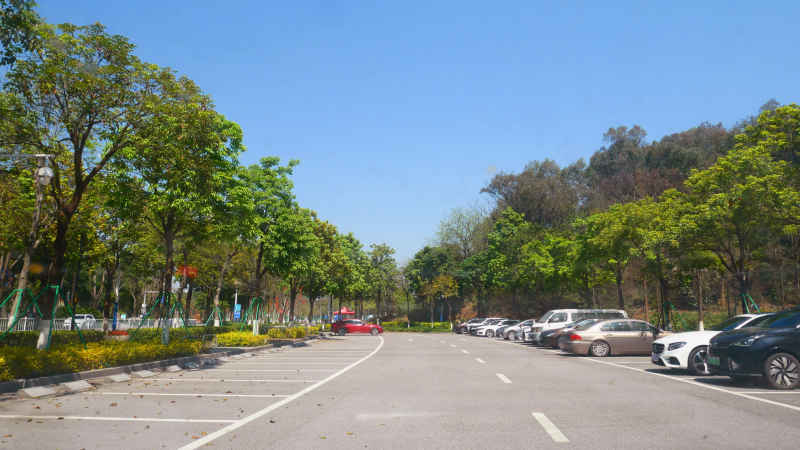 公园露天停车场