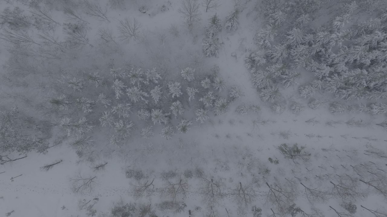 航拍公园雪景 2