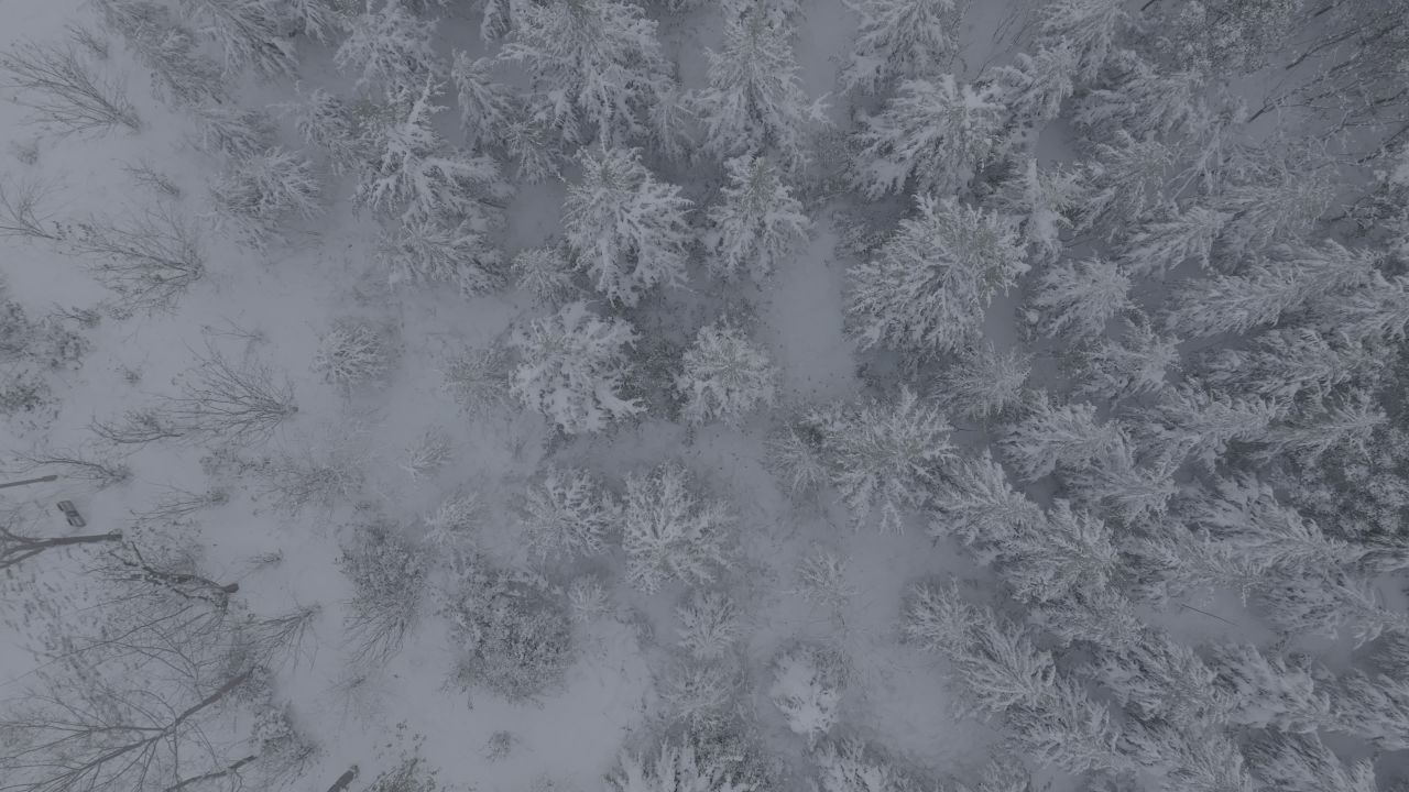 航拍公园雪景 3